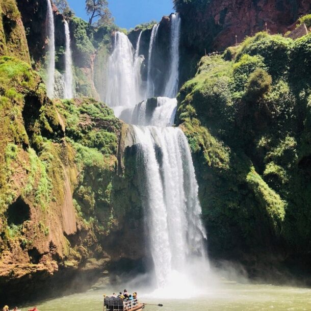 Screenshot_20241101_192420_Tripadvisor